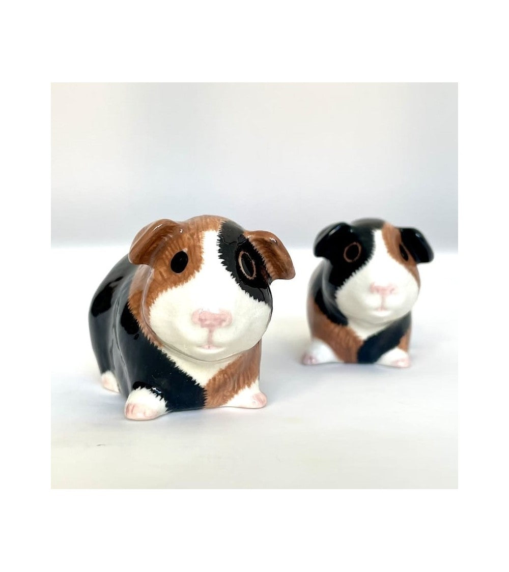 Sel & Poivre cochon d’Inde