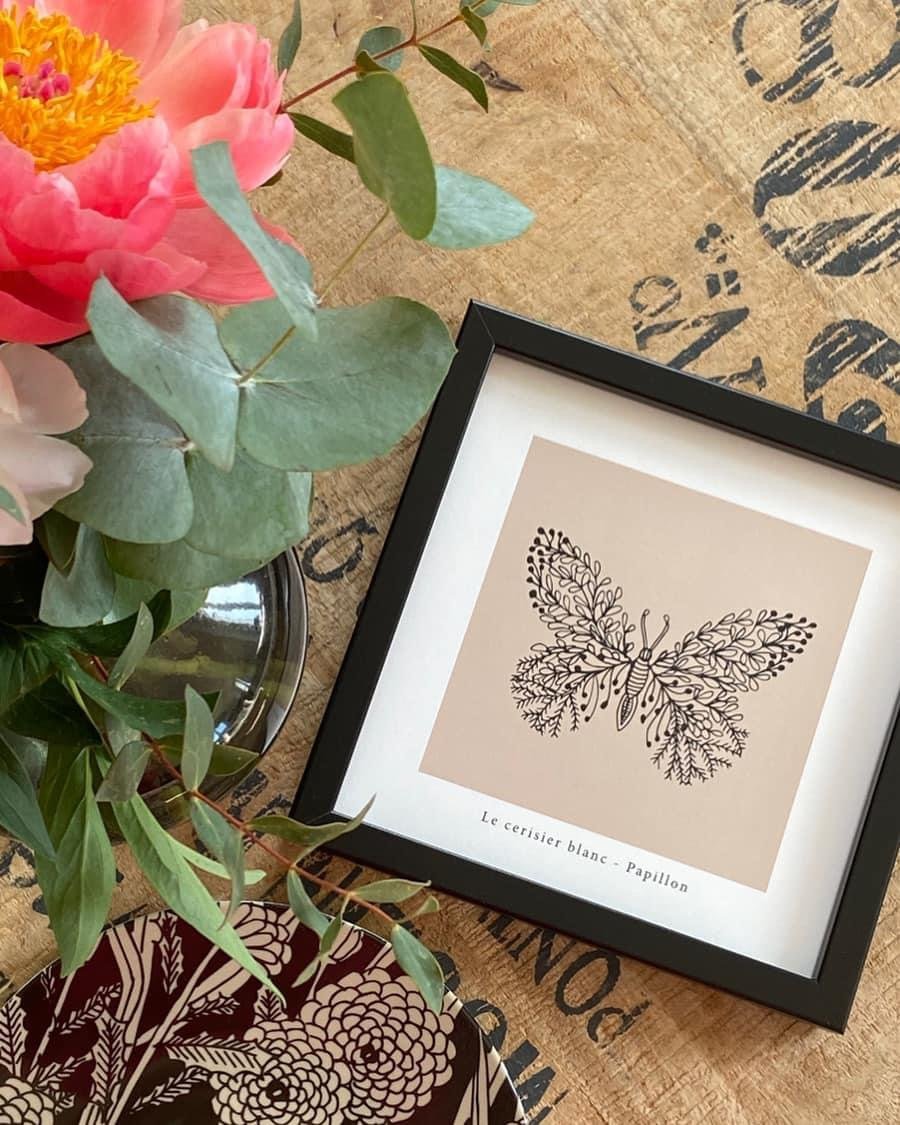 Cadre papillon coffret