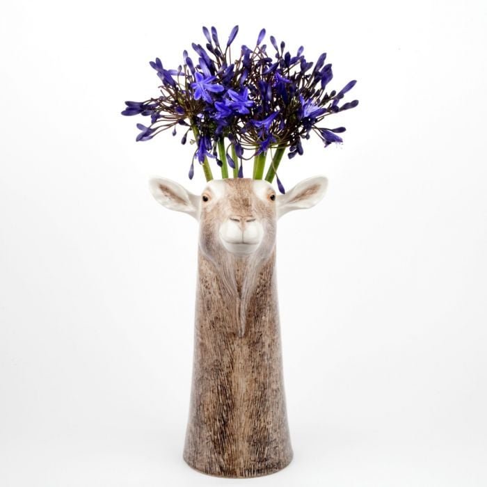 Vase chèvre