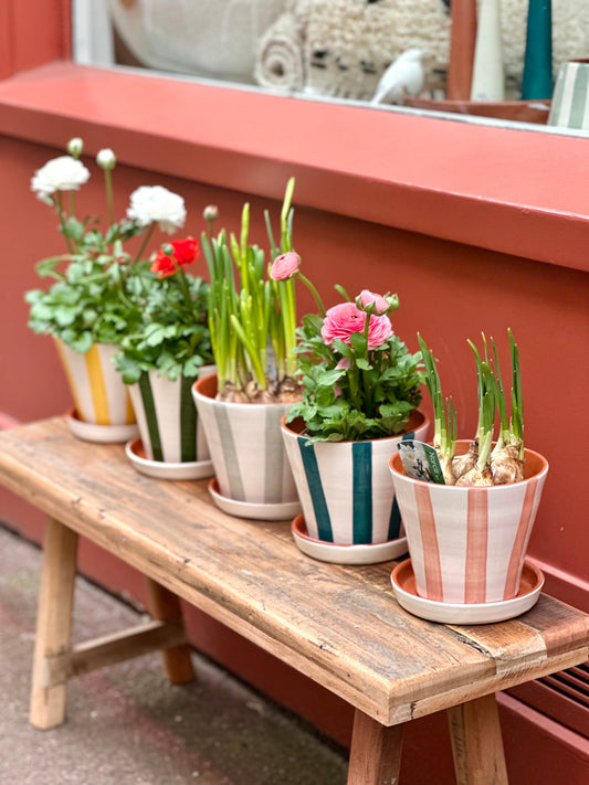 Cache-pot / plusieurs couleurs