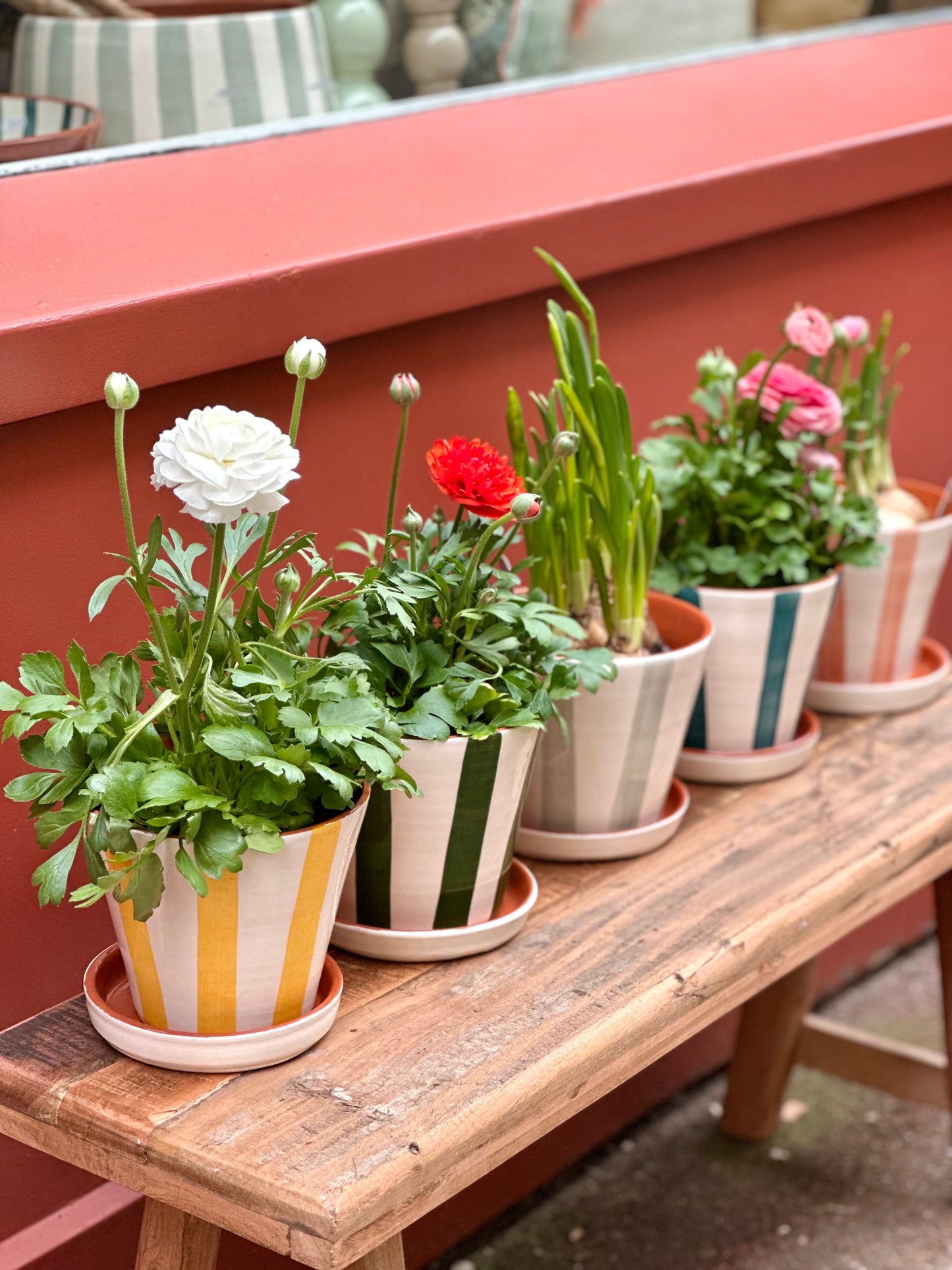Cache-pot / plusieurs couleurs