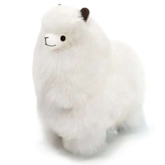Alpaga blanc M
