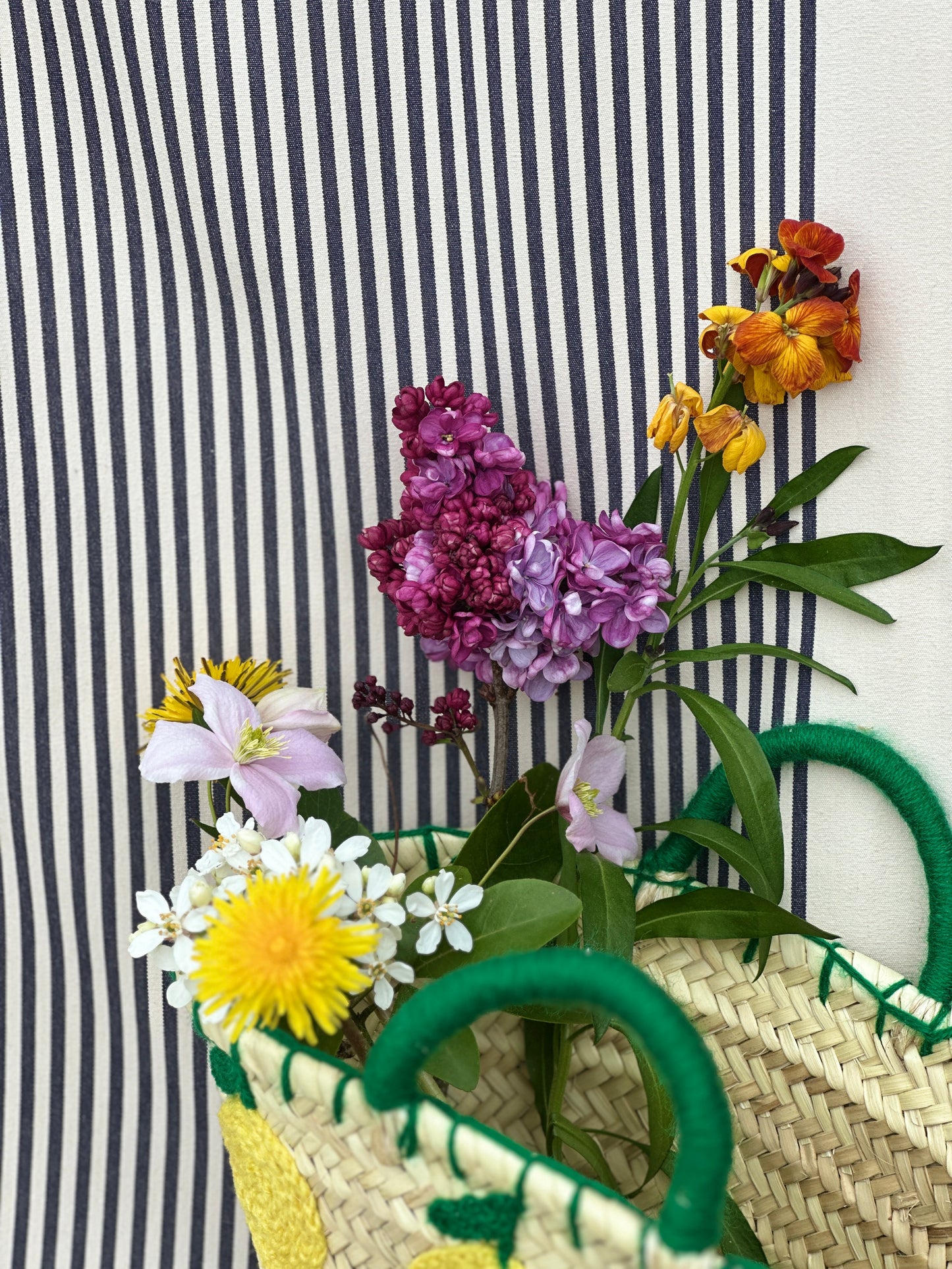 Panier citron S