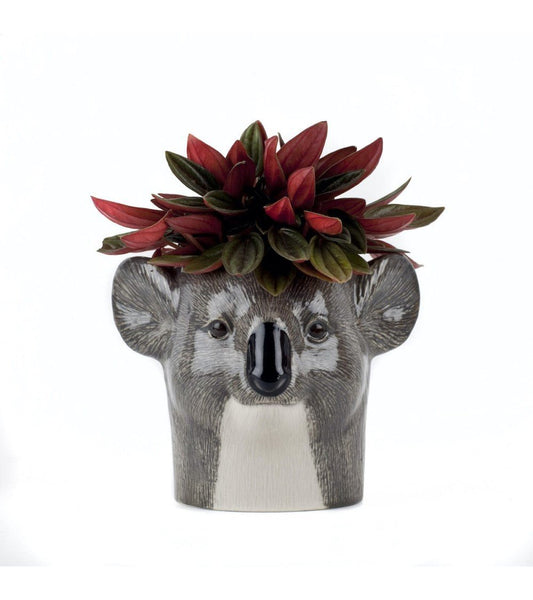 Pot koala