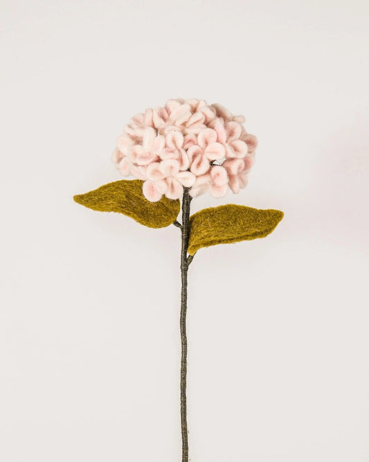 Hortensia rose