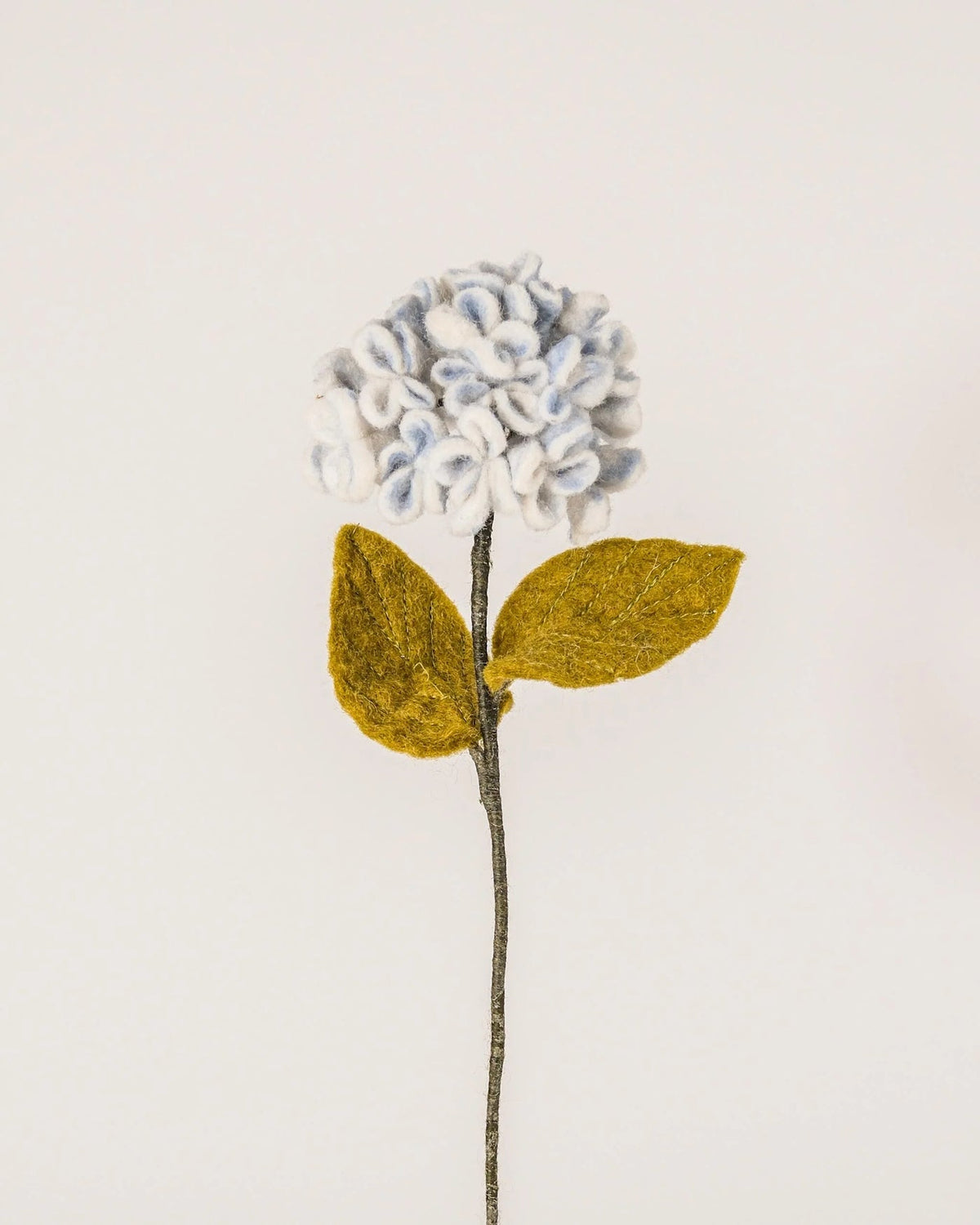 Hortensia bleu