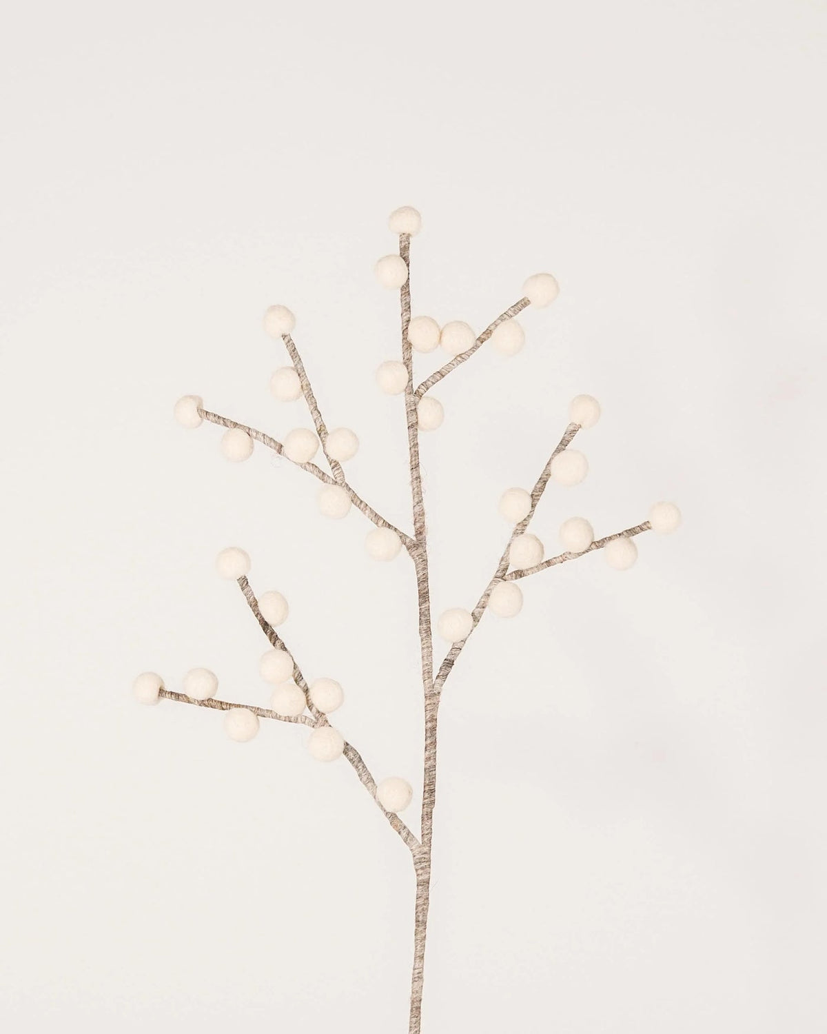 Branche baie blanche