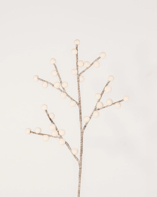 Branche baie blanche
