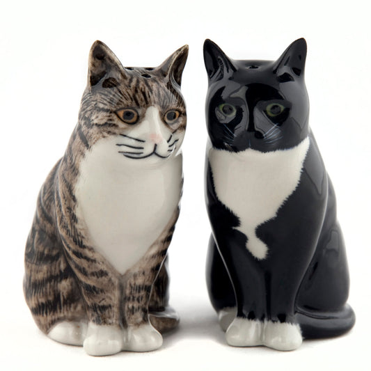 Sel poivre chat