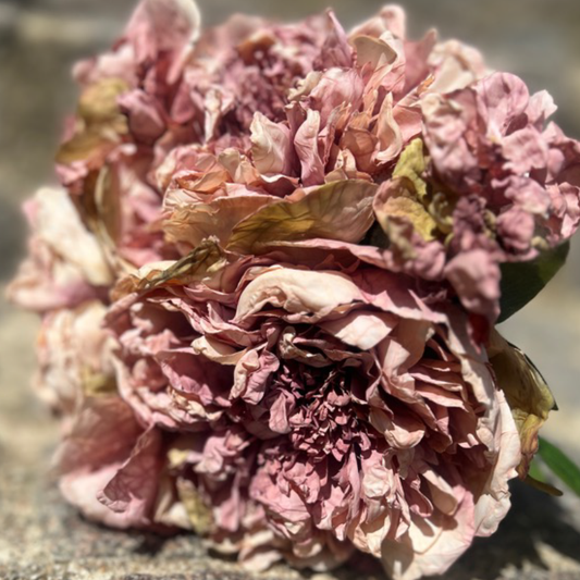 Bouquet de pivoine et hortensia rose