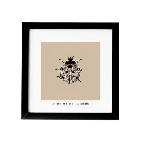 Cadre coccinelle coffret