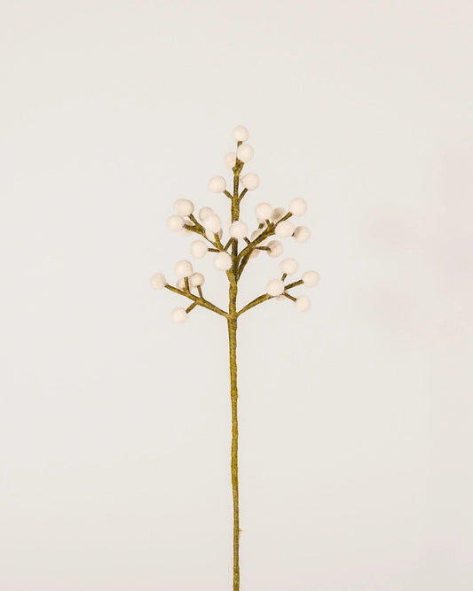 Gypsophile en laine
