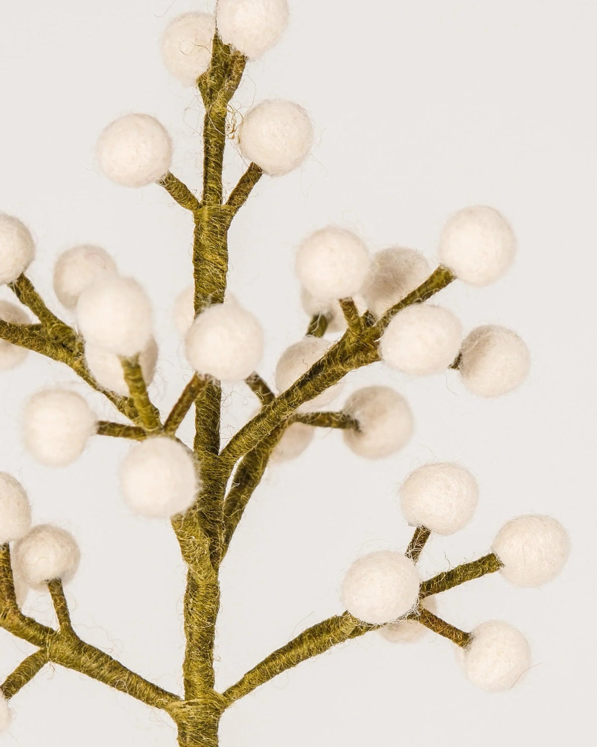 Gypsophile en laine
