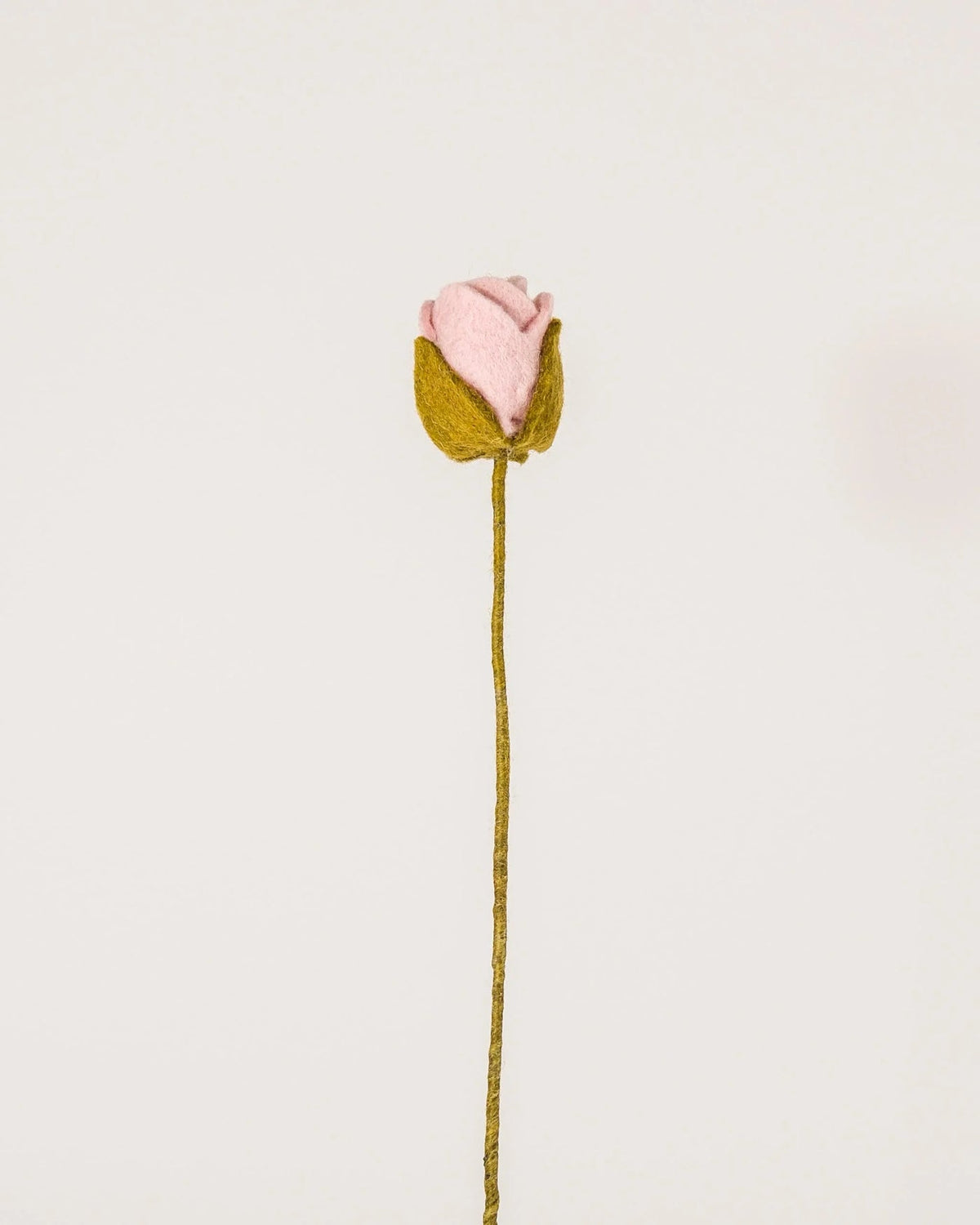Rose rose