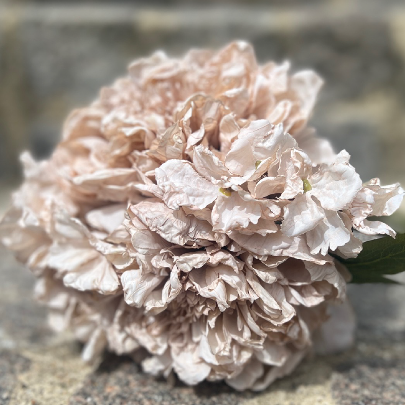 Bouquet de pivoine et hortensia blanc