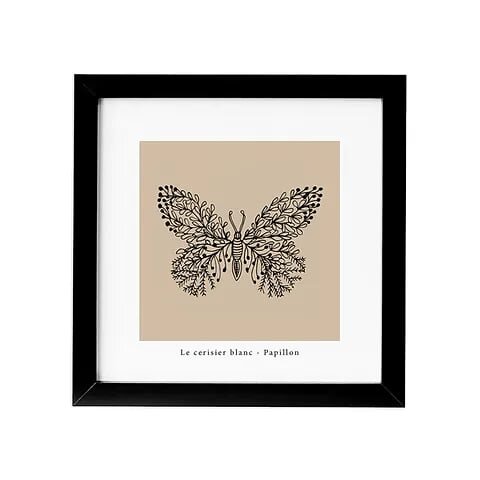 Cadre papillon coffret