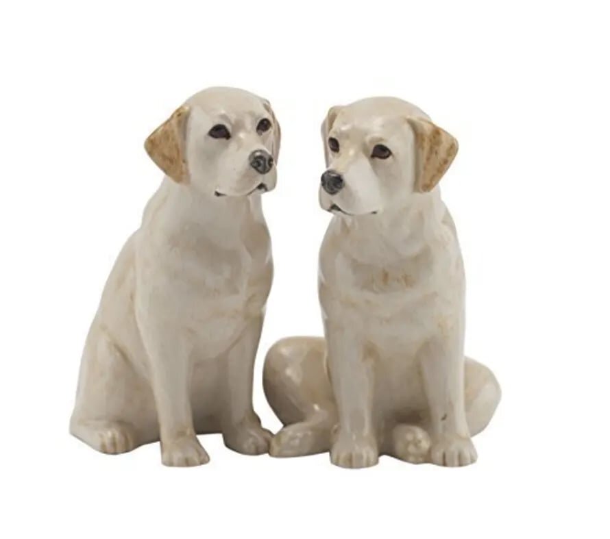 Sel & Poivre labrador