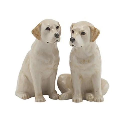 Sel & Poivre labrador