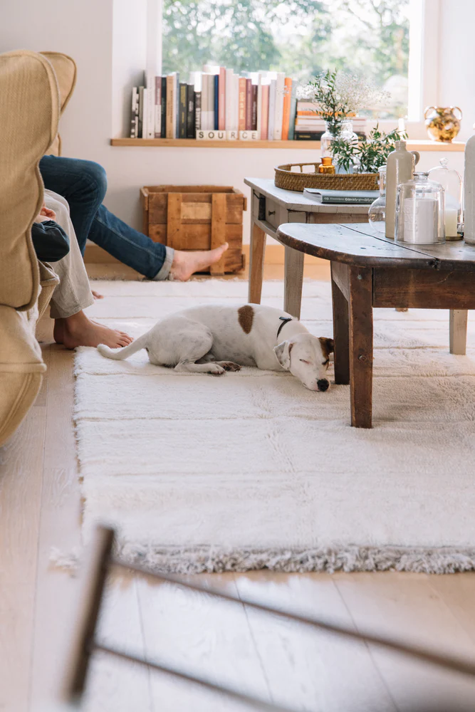 Tapis blanc 100% laine - plusieurs tailles