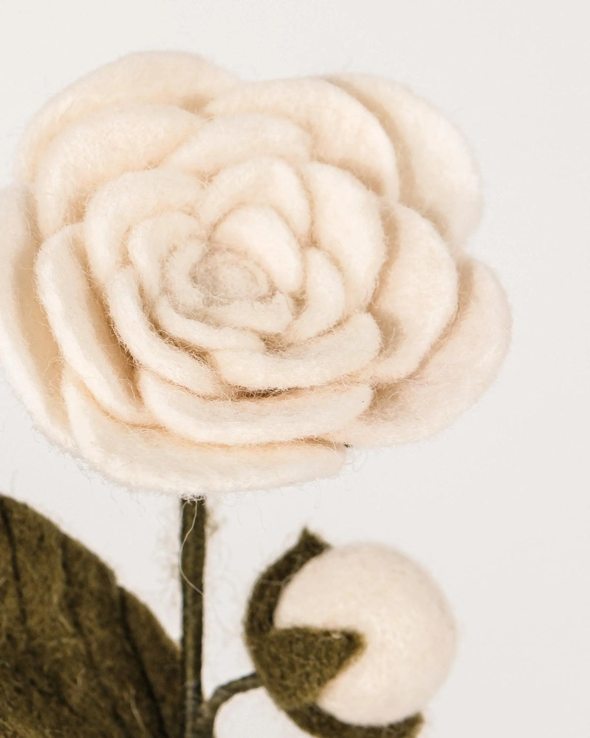Camélia blanche en laine